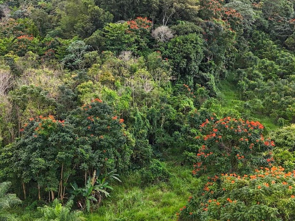 1st image of 0 Manati Bo Rio Arriba