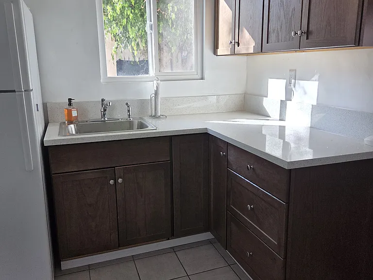 New sink and faucet with sprayer. View to side of house.