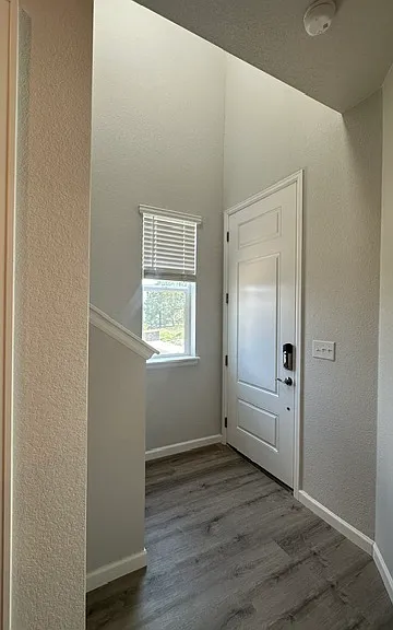 441 Interlocken Blvd — Photo 4