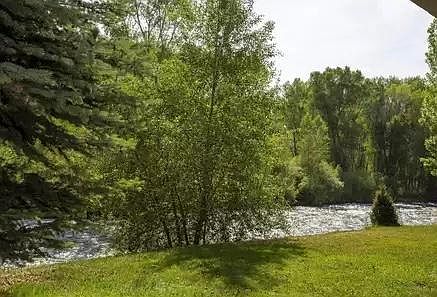 View from patio