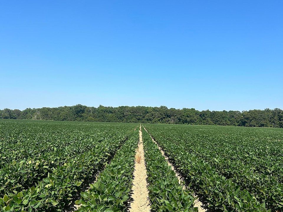 1st image of County Road 529