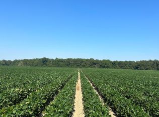 County Road 529, Morgan City, MS 38946