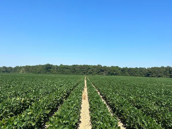 County Road 529, Morgan City, MS 38946