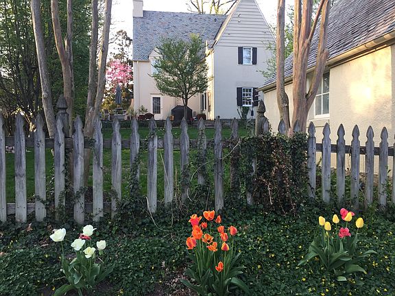 Back Alley View in April