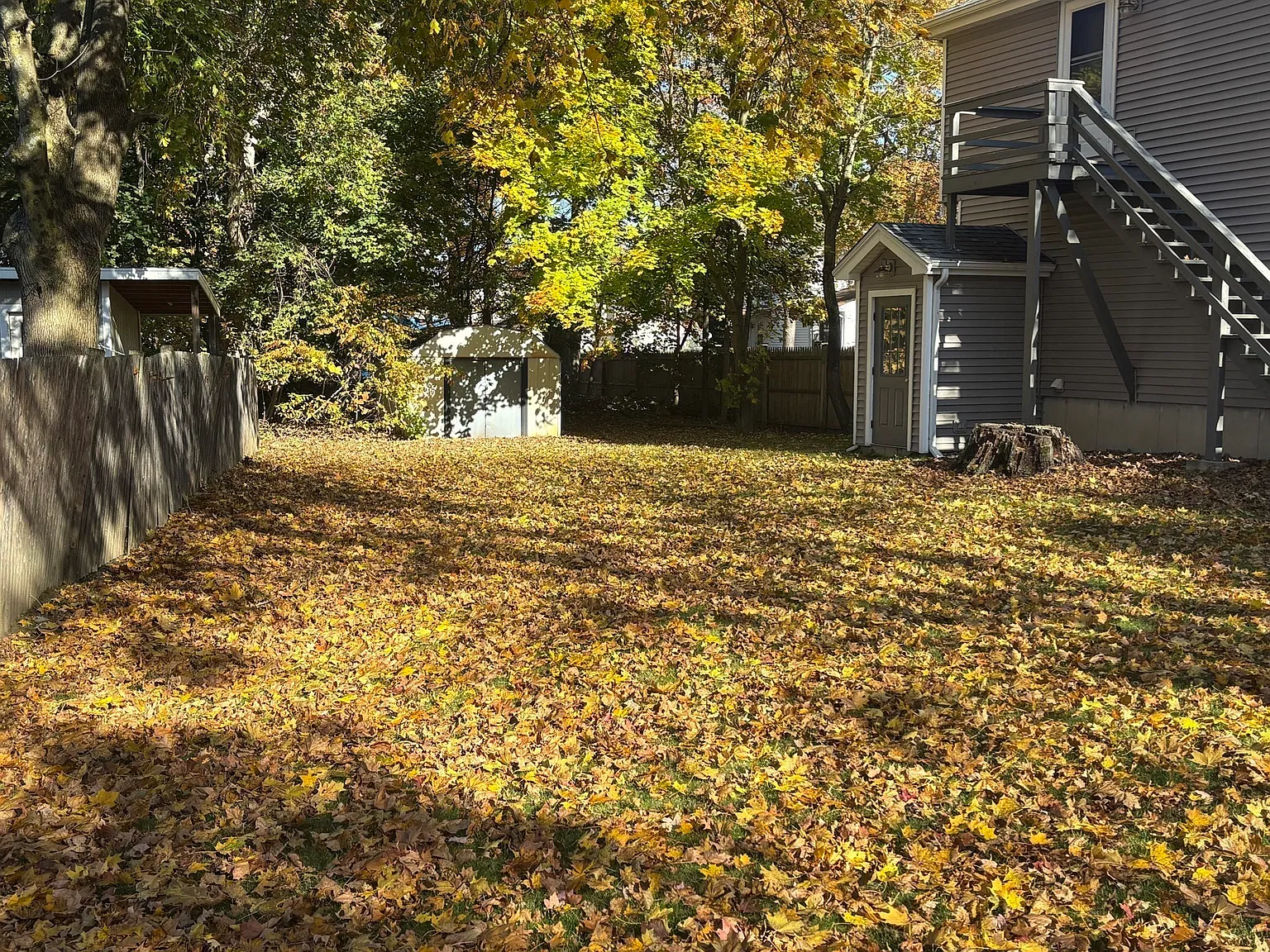2 bed, 1.0 bath, 1100 sqft, $1,900 — Photo 4