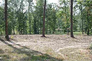 2nd image of 4934 County Road 1325
