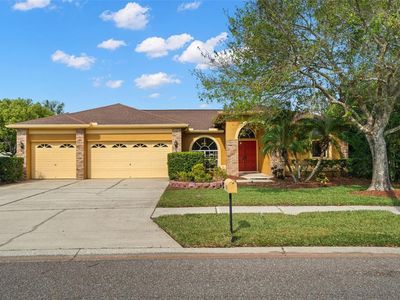 1878 Eagle Trace Blvd, Palm Harbor, FL, 34685