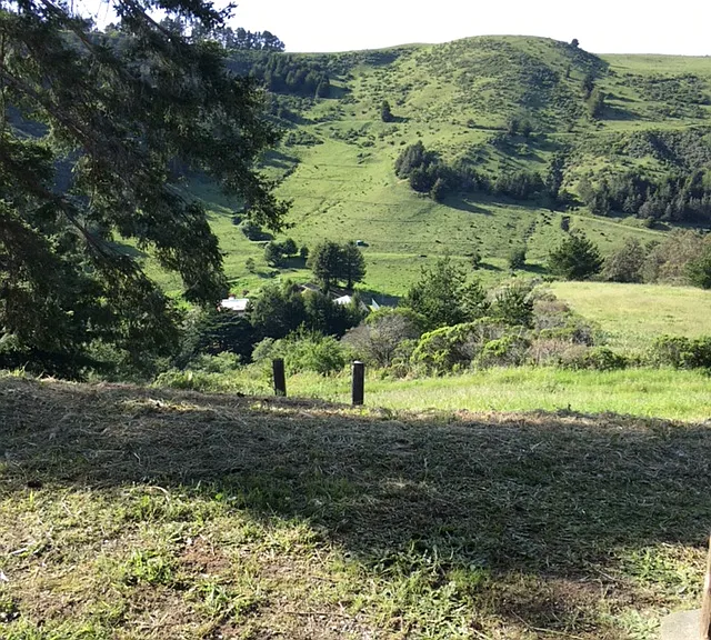 3425 Higgins Canyon Rd — Photo 2