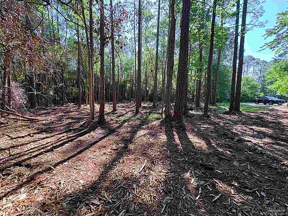 4th image of 4753 Henry Wilson Creek Dr