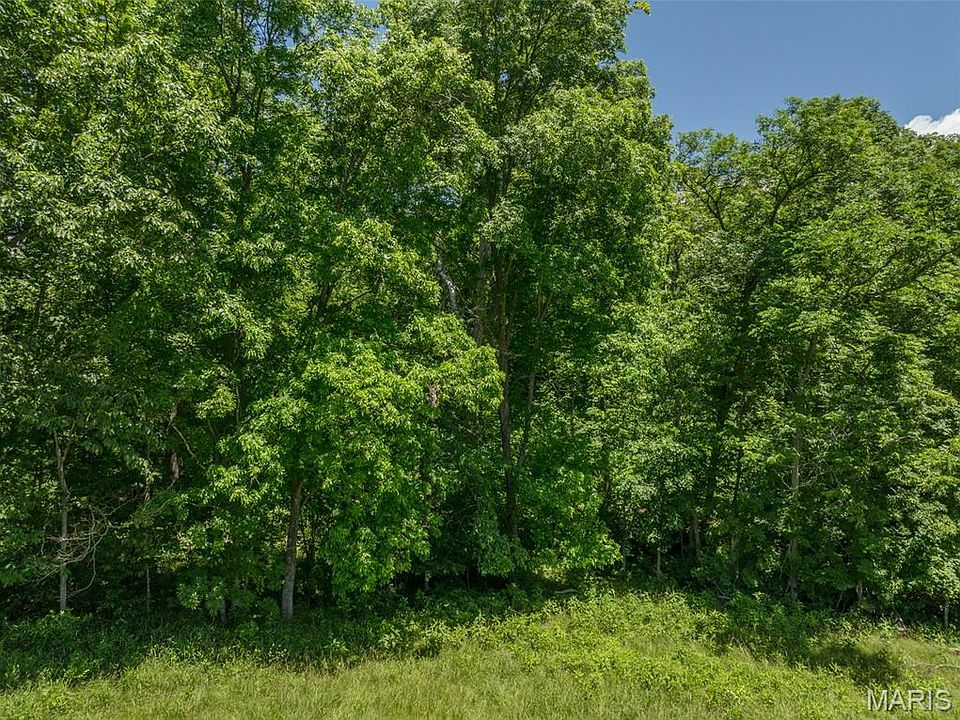 1st image of 2543 Alpine Woods Dr