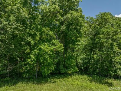 2543 Alpine Woods Dr, Wright City, MO, 63390
