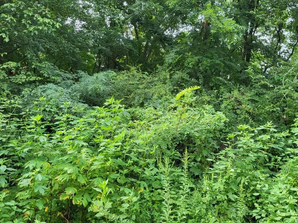 Tazewell Pike, Luttrell, TN 37779