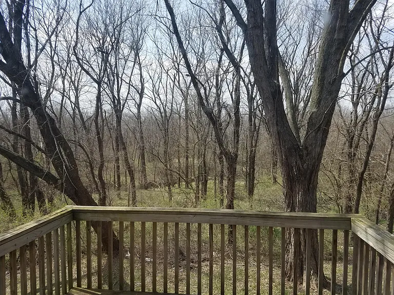 1857 Chickadee Dr — Photo 2