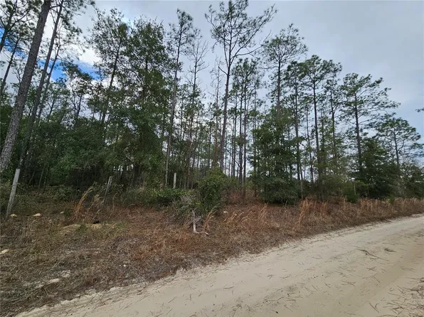 NE 45th St Lot 2, Williston, FL 32696