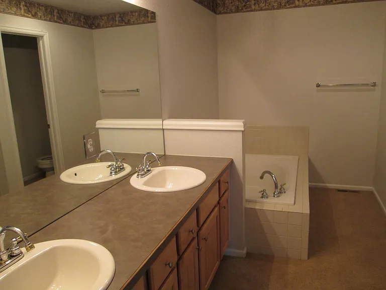 Dual sinks