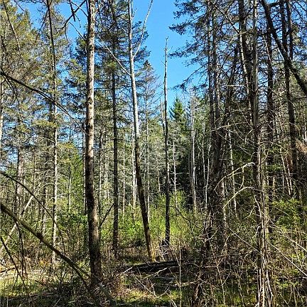 4th image of Snyder Hill Rd Lot 12