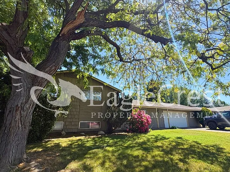 924 Shasta Dr — Photo 3