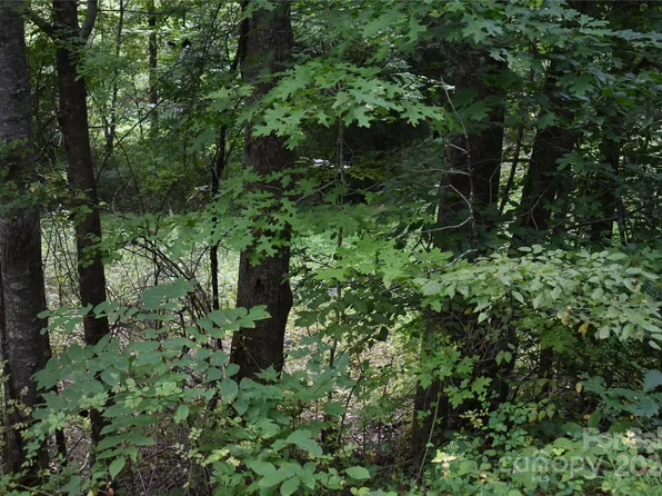 000 Arbuckle Road, Burnsville, NC 28714