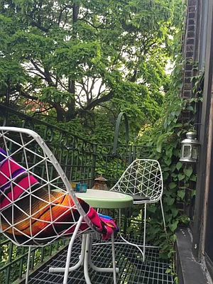 Rented by Level Group | media 43