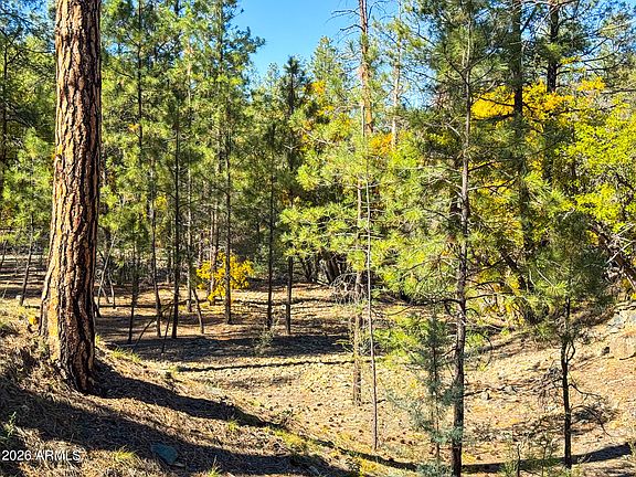 5th image of 0 Forest Service Road -- #-