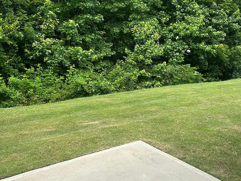 61 Moss Hollow Way — Photo 19