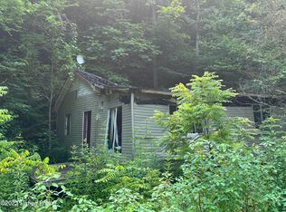 233 Fawn Dr, Wooton, KY 41776