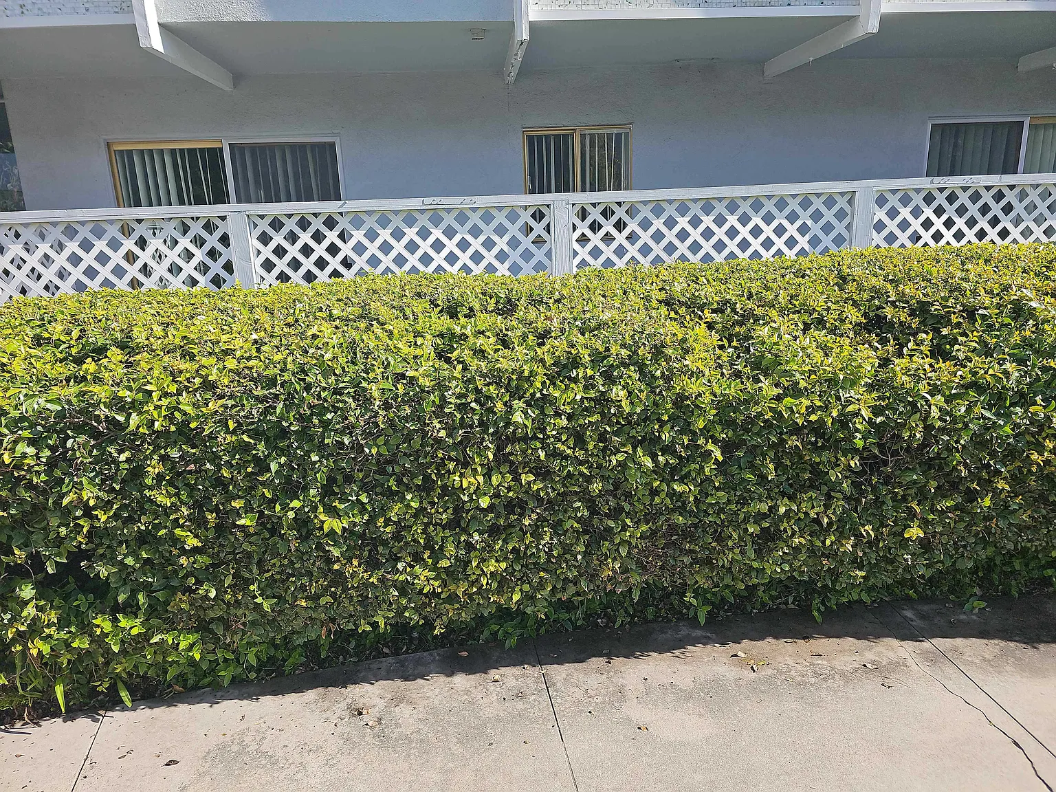 1 bed, $2,095 — Photo 2