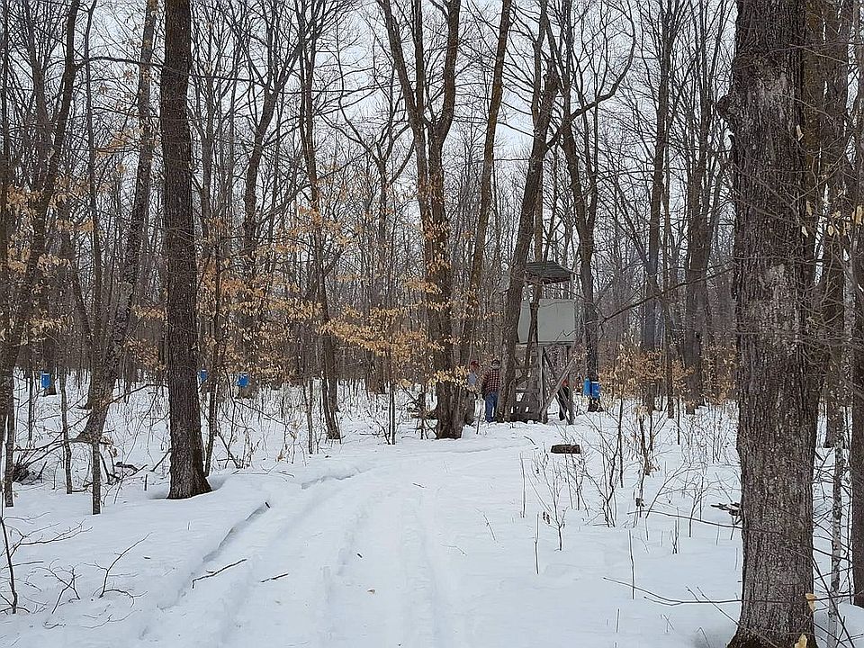 2nd image of County Road 119