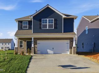 232 Chimney View Loop, Blountville, TN 37617