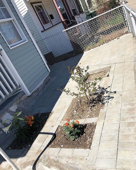 Front Garden