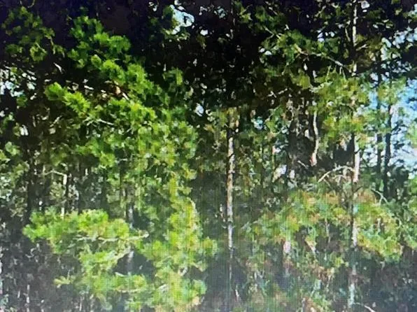 Unassigned Location Re, Archer, FL 32618