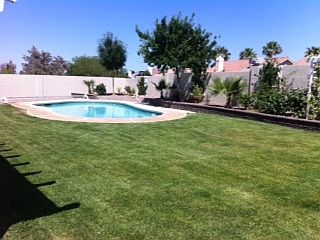 Large backyard with pool