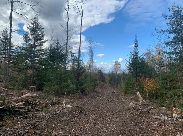 0 Sheepskin Road, Carroll Plt, ME 04487