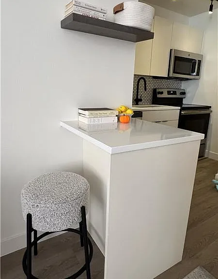 127 E Chestnut St #8W — Photo 5