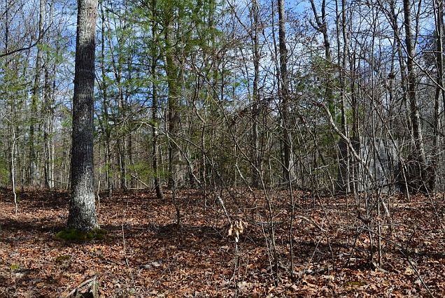 1st image of LOT 50 Stonecrest Ln