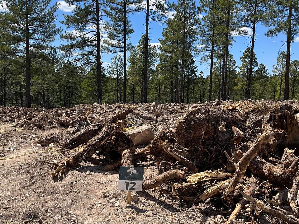 2nd image of 2635 S Cottonrose Ln Lot 12