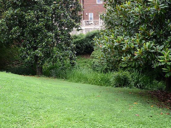 What a Backyard in Downtown!