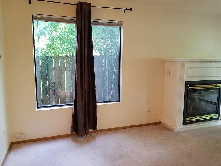 Fireplace and side windo