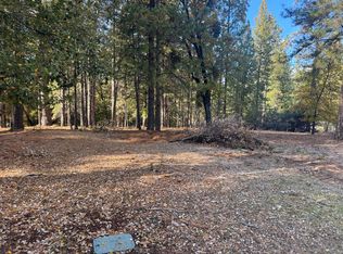 6364 Green Leaf Ln, Foresthill, CA 95631