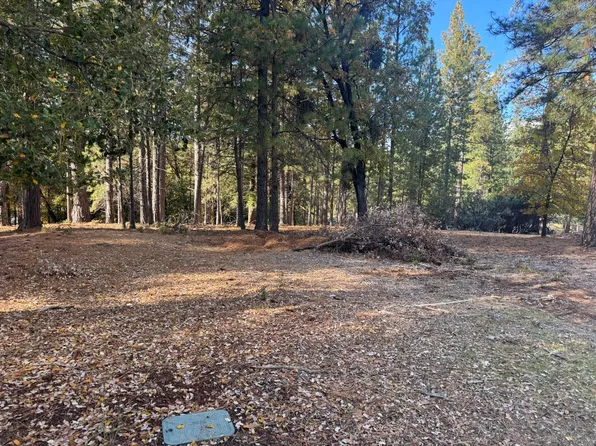 6364 Green Leaf Ln, Foresthill, CA 95631