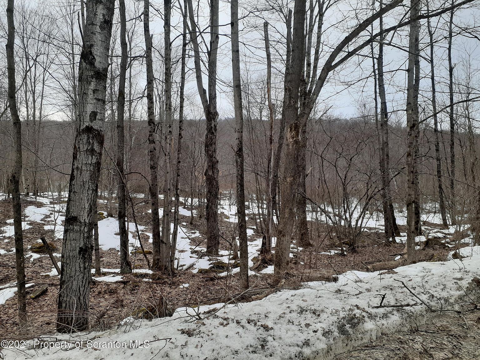 Stevens Point Rd, Susquehanna, PA 18847 Zillow