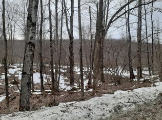 Stevens Point Rd, Susquehanna, PA 18847