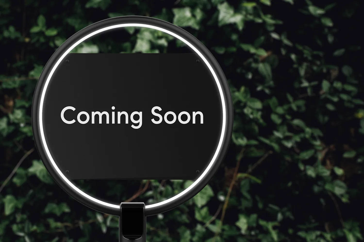 5950 Cabral Ave photo 1