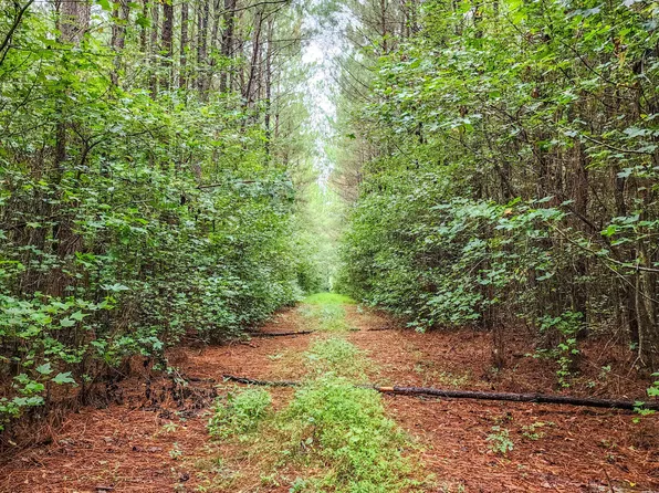 51 Acres Stapleford Road, New Bern, NC 28560