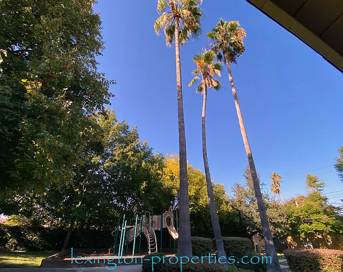 5008 Bremner Way #3 — Photo 22