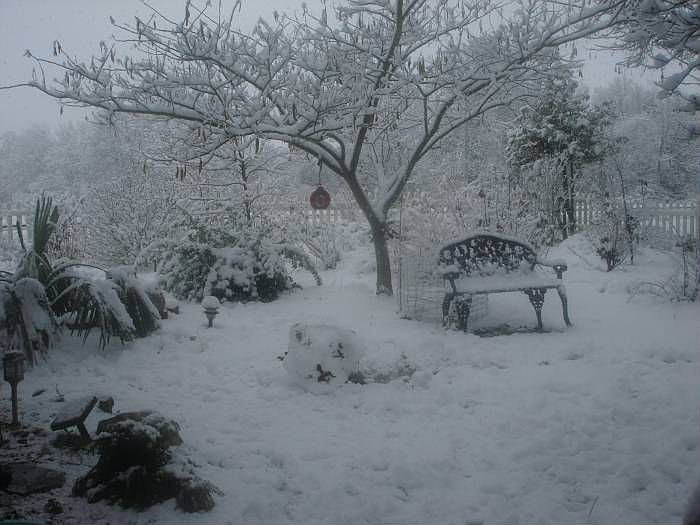 front yard winter time