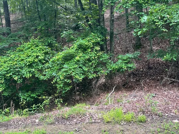 118 Morning Star Dr, Waleska, GA 30183