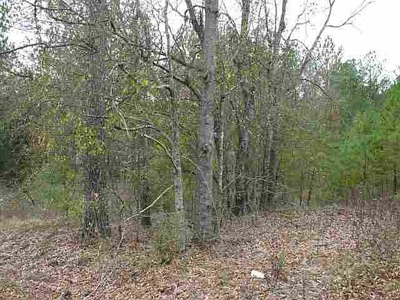5th image of Bentley Dr