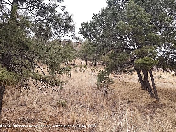 5th image of 123 Deer Valley Dr