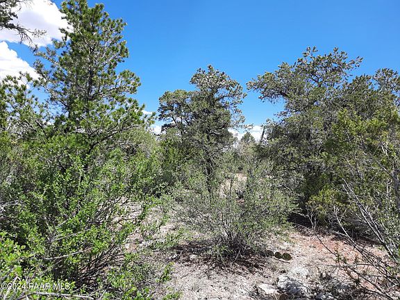 5th image of LOT 235 Forest Ln